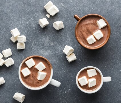 hot chocolate with marshmallows and marshmallow on a gray background. top view. flat lay.