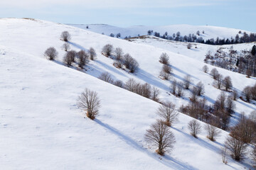 Winter landscape with snow from Alps
