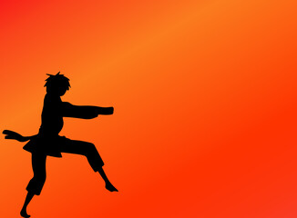 Fototapeta na wymiar silhouette of person performing martial arts