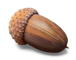 Acorn © BillionPhotos.com