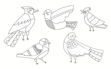 Coloring page with birds set. Collection of educational materials for children. Animals with feathers and wings. Biology and ornithology. Cartoon flat vector illustrations isolated on white background