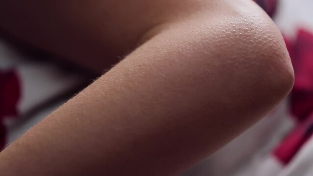 The body of an unidentified woman is covered with goosebumps. Close up of hair on the arm. Close up of goose pimples. Skin reaction to cold, love, emotions, fear, fright.