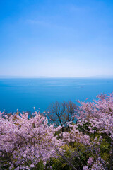 Fototapeta na wymiar 瀬戸内海と桜