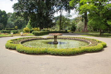 Beautiful views of the Royal Botanical Garden in Kandy, Sri Lanka