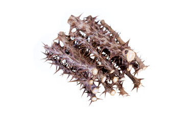 Umnamu herbal ingredients