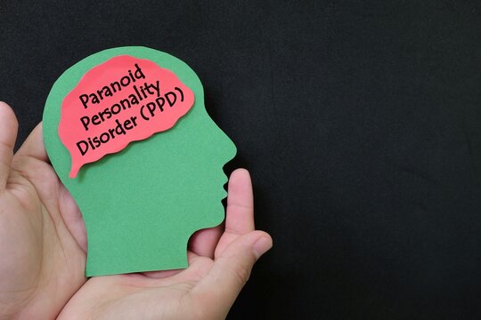 Paranoid Personality Disorder Help, Care And Treatment Concept. Hand Holding Human Head Profile With Word Text On Brain On Dark Background.