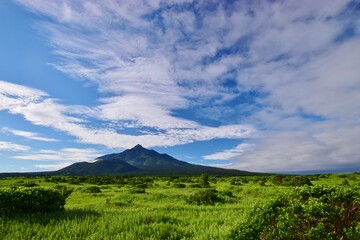 Fototapeta premium 利尻島の夏景色