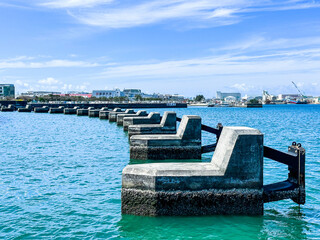 view of the port country