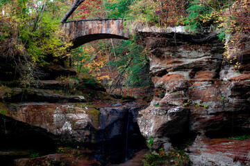 old bridge in the forest