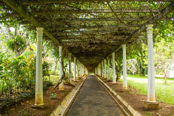 Beautiful views of the Royal Botanical Garden in Kandy, Sri Lanka