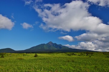 利尻島の夏景色