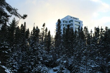 building through trees