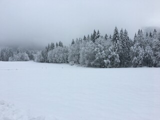 Les Diablerets, Switzerland, Snow Scene