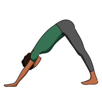 "Downward Dog" Images – Browse 5,334 Stock Photos, Vectors, and Video