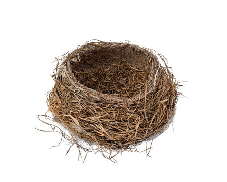 Empty bird nest isolated cutout top view on transparent