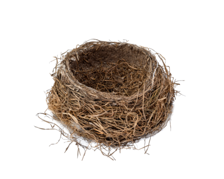Empty bird nest isolated cutout top view on transparent