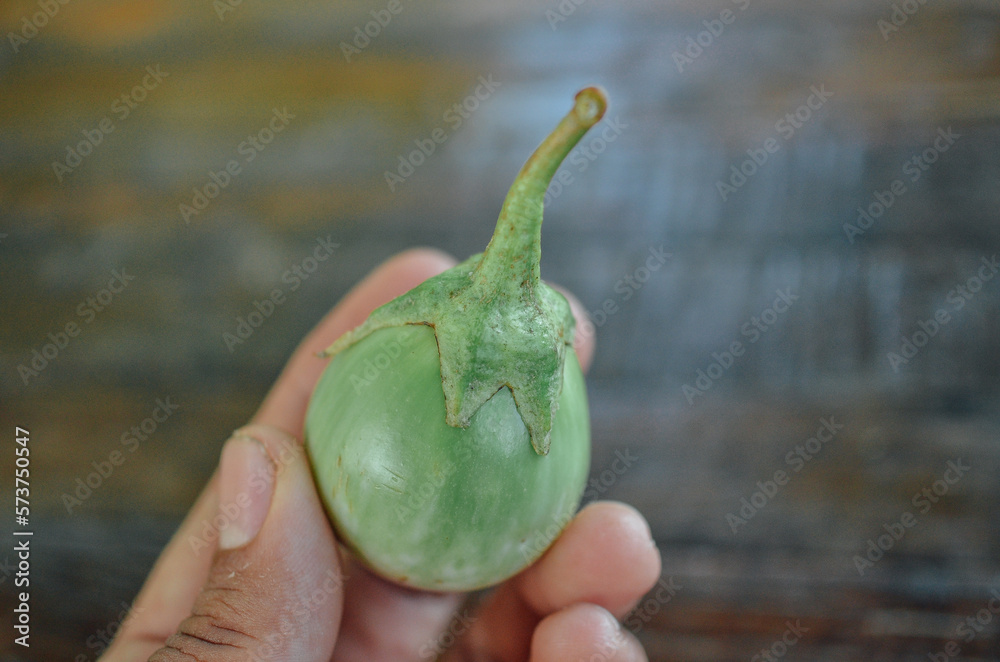 Wall mural Thai Green Tomato