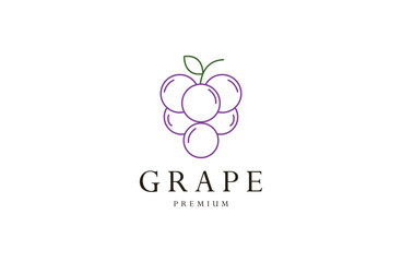 Grape logo with modern outline style and design template line art icon .
