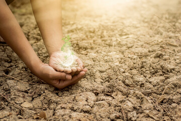 hand touching planting small plants with holographic soil environmental science with new future technology business planning development and conservation protection