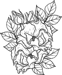 Dortmund rose png.Beautiful flower on transparent background.