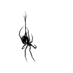 vector illustration of spider hanging concept