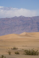 Fototapeta na wymiar Dune de Sable - Death Valley 2022