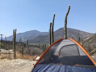 camping in the mountains of puebla, mexico, traveling around america, desert, plants, nature trail in mx spring season