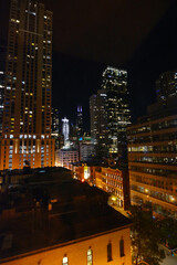 The Chicago skyline at night with a rich dark sky and lighted tall skyscraper buildings