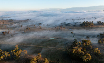 foggy morning in the valley