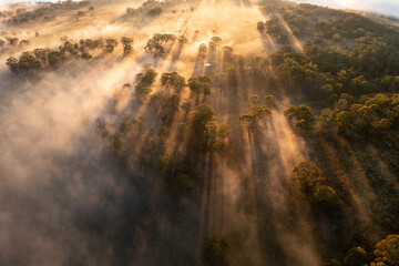 foggy morning in the valley
