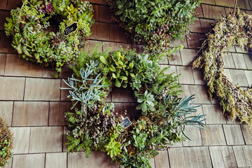 Wreath made from succulent plants hang on the wall,