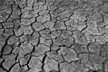 close up cracked soil