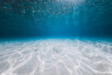 Transparent ocean with sandy bottom and sun light underwater in Florida. Sea background