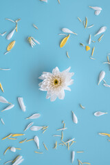 Fototapeta na wymiar Flower Composition Floral Background Celebration Postcard Image