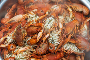 The process of cooking crayfish, a traditional snack for beer. Background, selective focus