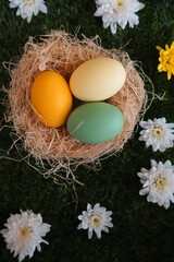 Easter Floral Composition with Eggs 