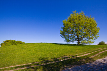 Panoramic of Olympic park in Munich town, Germany.