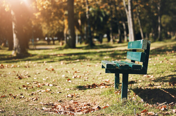 Naklejka premium Park, bench and open with space with trees, mock up and summer for sunshine, relax and rest in nature. Forest, woods and grass outdoor with leaves, blurred background and natural landscape for peace