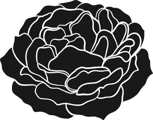 Sunset memory rose png.Beautiful flower on transparent background.