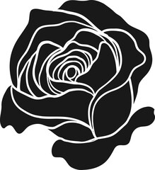 Sunset memory rose png.Beautiful flower on transparent background.