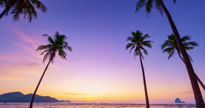 Timelapse Silhouette coconut palm trees in beautiful sunset or sunrise sky over sea,Amazing light nature colorful clouds landscape,Beautiful light nature sky and clouds seascape,Sky clouds background 