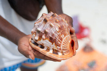 A gorgeous seashell from Zanzibar rests delicately in the palm of your hand, captured in a photo on...