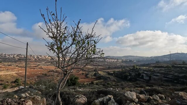 The mountains and the Jewish settlements near the settlement of Alon Shvut in Gush Etzion. winter day