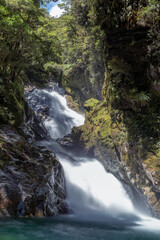 waterfall in New Zealand forest 