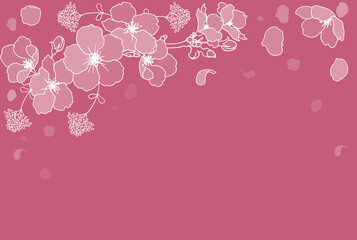単色背景と春の花線画フレームーピンク桜1