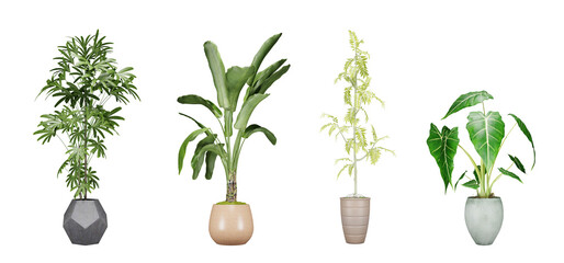 Fototapeta na wymiar Set of plant in a pot isolated on white background, 3d render illustration.