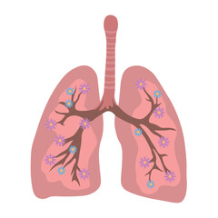 Drawn human lungs with blooming flowers on white background