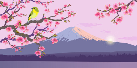 Realistic graphics of Uguisu and Sakura on a background of Fuji. Japanese Nightingale on a branch of blossoming cherries. Vector illustration of Bush Wabler. Fudjiyama in the sun. © Tata Pilip