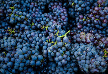 Bunch of grapes in crate