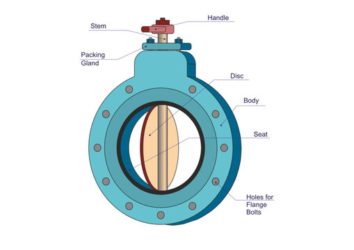 Butterfly Valve 